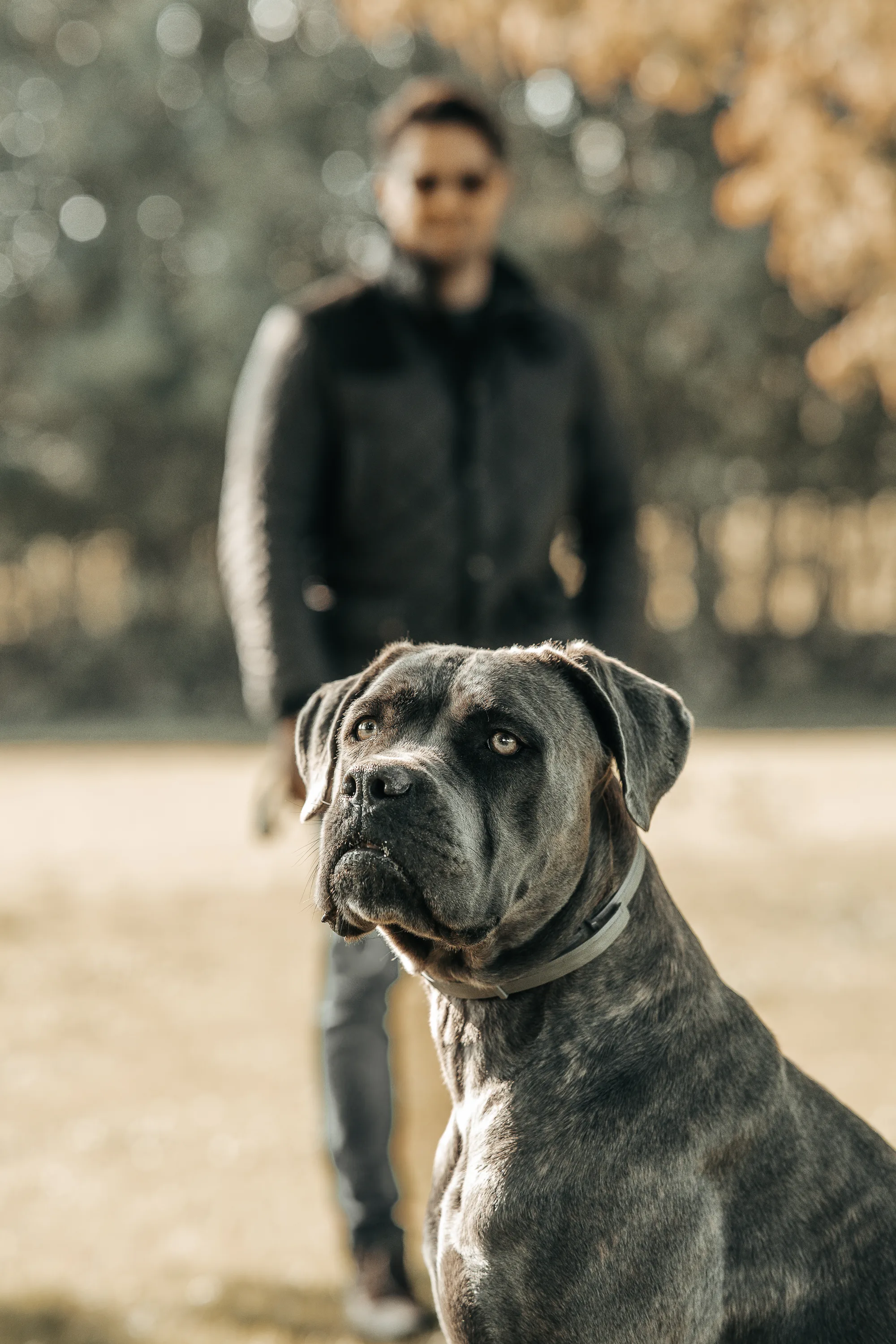 Hundefotografie – Foto 11