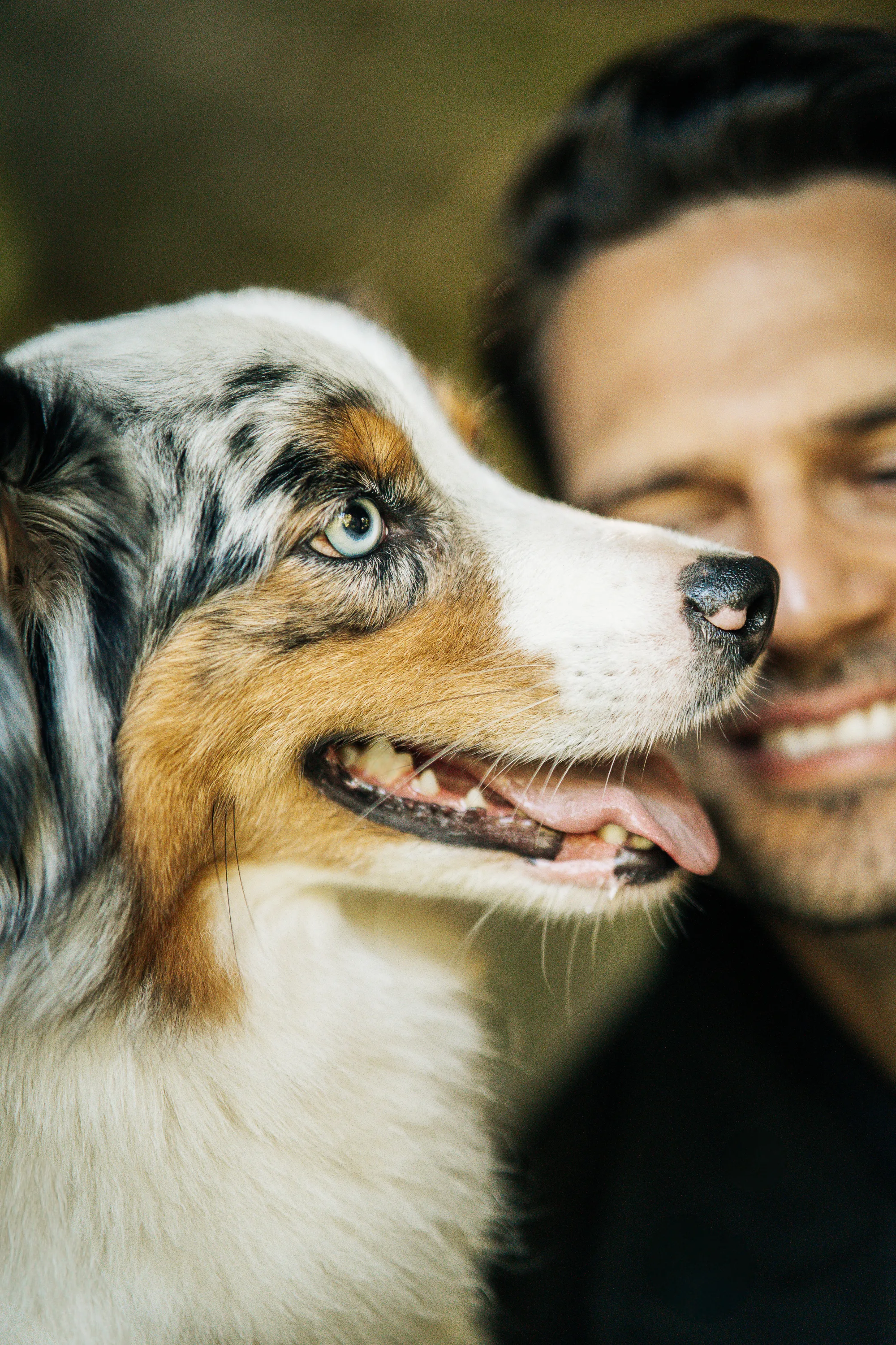 Hundefotografie – Foto 13