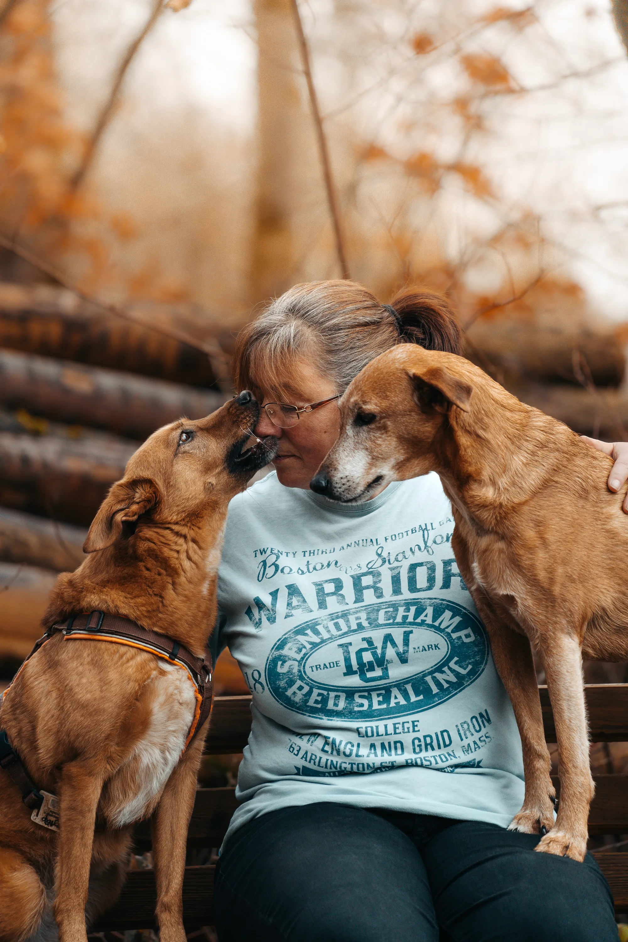 Hundefotografie – Foto 9